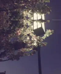 9.我到現在 才明白 我為何會對你 念念不忘 并不是因為你有多好 而是因為你 好像真的愛過我 最后你又真的不愛了配圖