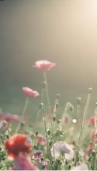 我真正關(guān)心你，我會一直在這里支持你配圖