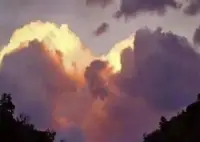 我終于熬過那段看誰都像你
看什么都想你
聽的歌全是關于你的日子很慶幸
我終于可以順利得配圖