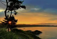 夕陽落月光現，樹林長椅，一人。遠處背影似你，晚風微起，盼君配圖