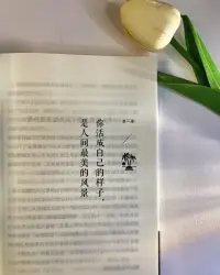 因為真正的新鮮感。
是陪日人體驗未知的人生，而不是陪一個新人重蹈覆轍，壞了的東西要補，而不是換配圖