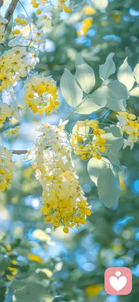 爱自己最核心的方式，就是允许自己呈现出任何样子，既能接纳状态好的自己，也能接纳状态糟糕的自己，而且你都可以爱这样的自己。