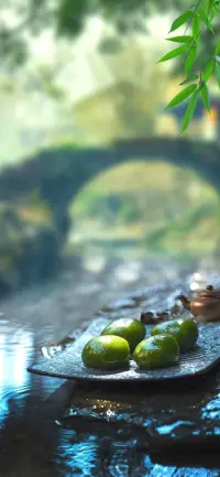 春光明媚到清明，细雨纷飞润大地。