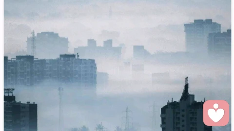 不要一直责怪过去的自己，他曾经站在雾里也很迷茫