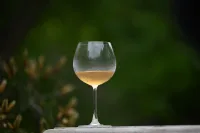一杯酒一生情  愿你每天都有好心情  好故事要分享哦！配圖