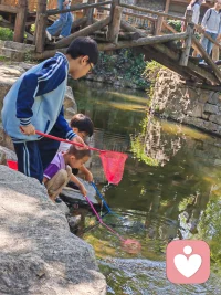 再次打卡九如山
山依然青
水依然秀

似乎什么也沒改變
又似乎什么都變了配圖