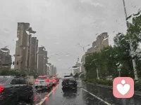 你看看這個草原上的樹啊草啊
有人吃有人用便叫有用
要是沒有人用
自已就這么待在草原上也很好嘛
自由自在的嘛
是不是配圖