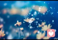 不忘初心
不欺本心

萬般事由皆如夢幻泡影配圖