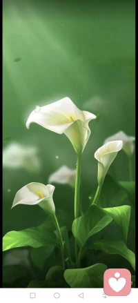 去接納自己不能接納的
真的好難
去接納自己的不能接納
就可以了配圖