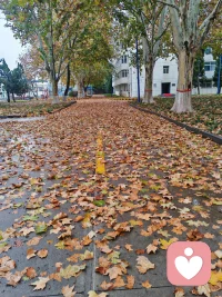 相濡以沫
不如
相忘于江湖


以唾沫相互濕潤求得生存
（此時此境）卻不如我們彼此不相識
各自暢游于江湖！配圖