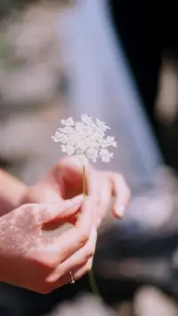 清除釋放所有讓我們感受不到愛的障礙就是療愈，我做的所有事情就是讓愛流動起來配圖