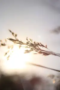 先成為孩子佩服的人，你才有機會影響到孩子配圖