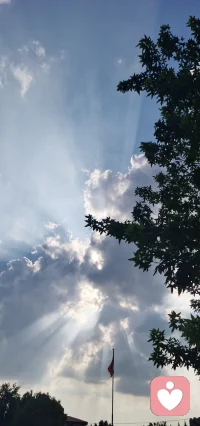 種子顛倒播種
你越去播種什么，越能收獲什么配圖