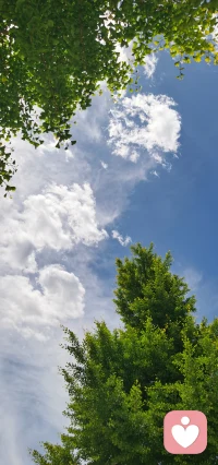 關注什么
?就得到什么
?
?想得到什么
?就去關注什么配圖