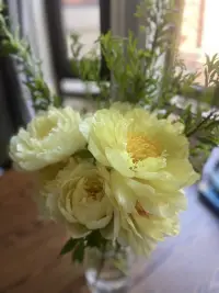 一位來訪者說，生活中，柴米油鹽醬醋茶，孩子房子車子工作，跟伴侶的溝通，都是事務上的這些瑣事，根本沒時間關心對方在想什么，也沒有深入交流的機會……好懷念談戀愛的時候，兩個人徹夜長談，有說不完的話……

生活中，親密關系中，你渴望的真正親密到底是什么？配圖