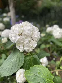 一位來訪者說，生活中，柴米油鹽醬醋茶，孩子房子車子工作，跟伴侶的溝通，都是事務上的這些瑣事，根本沒時間關心對方在想什么，也沒有深入交流的機會……好懷念談戀愛的時候，兩個人徹夜長談，有說不完的話……

生活中，親密關系中，你渴望的真正親密到底是什么？配圖
