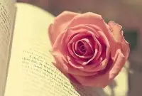 花开成景 花落为诗
换个角度就会有不同的领悟
与万事言和 与独处相安
自行 自醒 自清醒