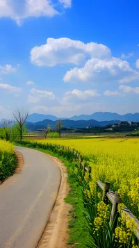 生活需要一點(diǎn)慢節(jié)奏，有些事急不來，人生緩緩，自有答案。配圖