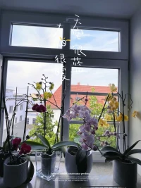 失敗是什么，沒有什么，只是更走近成功一步而已。配圖