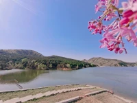 勇敢面對(duì)，困難只是晢時(shí)的，而退縮將是永遠(yuǎn)的，永遠(yuǎn)的遺憾呦！配圖