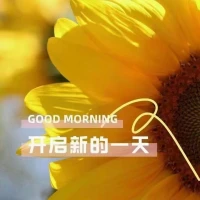 原諒生活中的不完美，寬容生活中的不容易，讓自己在淡薄的人情味里獨(dú)善其身。配圖