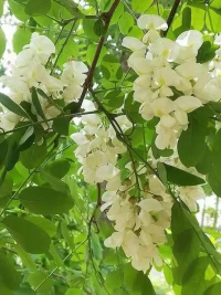愛情是場及時雨，突然降臨，側耳聆聽，就會變得無限透明。配圖