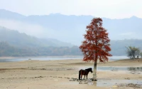 生活一直就沒有變得更容易，只是我們一直在變得堅(jiān)強(qiáng)了。配圖