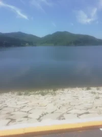 努力賺錢不是因為愛錢，而是因為星辰大海都需要門票，詩和遠方的路費呦！