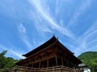 世界原本就不是屬于你，因此你用不著拋棄，要拋棄是一切執著，萬物皆為我所用，但非我所屬。