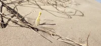 身心互為因果，當我們心情好的時候，身體也會有更好的免疫能力，可以減低壓力來臨時的軀體反應。當然，身體狀態好的時候，也會給心理帶來支持。運動、睡眠、心態，這些都會給身心帶來不同的感受，健康運動，規律睡眠，良好心態，會讓人充滿正向、積極的情緒，也會讓人更健康。配圖