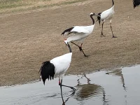出軌可能是為了緩解生活不完美的痛苦？配圖