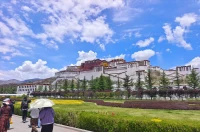 允许一切发生，接纳所有无常。
允许自己做自己，允许别人做别人。