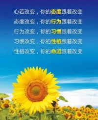 向陽而生配圖