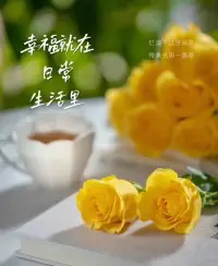 ＃咨詢分享
所謂的精神內耗，說白了就是自己心里的戲太多了。

言未出，結局一眼千百遍
身未動，心中已過萬重山
行未過，假象苦難愁不展
事已畢，過往仍在腦中演

生活不是劇本，我們也不是導演，無需為沒有發生的事情而憂慮，也不必為過去的遺憾而懊悔。

昨天是段歷史，明天是個謎團，我們只需活在當下，感受今天的真實與美好。
?
?就像我一樣，每天保持熱愛，保持能量，擁抱當天的幸福，多用眼光看看今天的豐盛，你會發現其實世界是很可愛的。配圖
