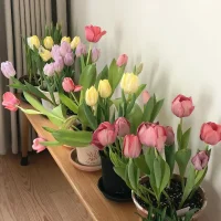 純愛已經(jīng)滿足不了我了，純金可以。配圖