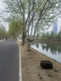 借一把清風吹開陰霾，接一碗烈酒談笑風生。配圖