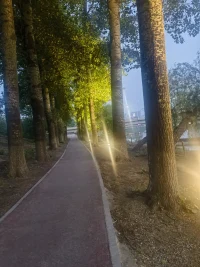 未來可期配圖