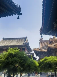 擦肩而過夢一樣配圖