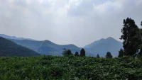 世上本沒有路，走的人多了也就成了路配圖