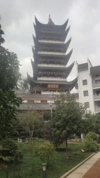 我们为什么会生起傲心，怒心，恨心，嗔心呢？

因为我们总会看别人是不对的，如果我们看别人都是对的，就不会生起这些心。

也许有人说明明他是错的，那我们还要违心的去说他是对的吗？

如果真的仔细观察，我们真的会看到，别人真的没错。别人的任何身语意行，都是他认知的结果。心上有什么认知，就有什么身语意行的果。这也就是心即理的道理。

他是在这种文化教育环境背景中长大的，他就形成的现在的内在思维定势。所以每个人在自己特定长大的环境中形成了现有的认知，在这个认知下的所有行为当然是对的。因为有这样的认知，就会是这样的行为。看到这点，我们就不再看别人不对了，而是心生慈悲。

真相是:只有因果，没有对错。道法自然，刹那变化。配图