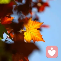 人生是用來體驗的，而不是用來演繹完美的。把圈子變小，把語速放緩，把心放寬，把生活打理簡單。配圖