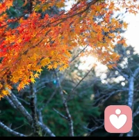 你的世界很大，不要為不值得的人停留太久。努力讓自己發(fā)光，對(duì)的人才會(huì)迎光來！莫糾結(jié)于一時(shí)的得失，莫擔(dān)憂于未來的變數(shù)，當(dāng)你歷經(jīng)風(fēng)雨，眼中的世界已煥然一新，人生沒有白走的彎路，每段旅程都有收獲。配圖