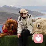 晚风听你说的头像