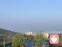 在家就靠近童年，靠近那些会说话的花草树木。离开家就是一场心灵放逐，彻底自由。