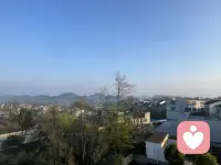 在家就靠近童年，靠近那些会说话的花草树木。离开家就是一场心灵放逐，彻底自由。