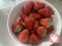 在家就靠近童年，靠近那些会说话的花草树木。离开家就是一场心灵放逐，彻底自由。