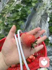 在家就靠近童年，靠近那些会说话的花草树木。离开家就是一场心灵放逐，彻底自由。