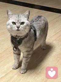 小猫咪🐈太可爱噜～