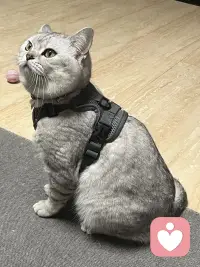 小猫咪🐈太可爱噜～