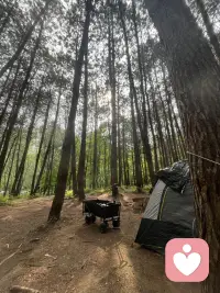 给生活自然流畅的力量～